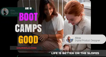Are UI Boot Camps Worth It? Pros, Cons, and Real Outcomes