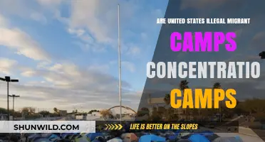 US Migrant Detention Centers: Concentration Camps or Border Control?