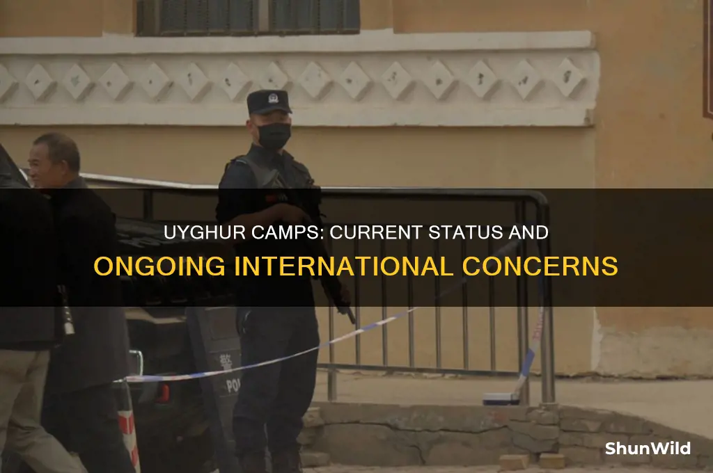 are uyghur camps still active