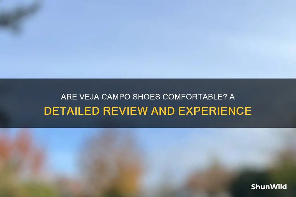are veja campo shoes comfortable
