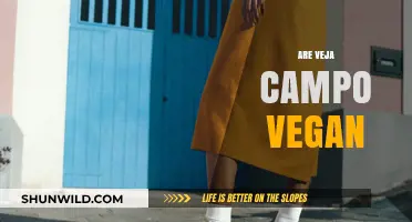 Are Veja Campo Sneakers Vegan? Uncovering the Truth About Materials