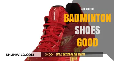 Victor Badminton Shoes: Are They Worth the Hype?