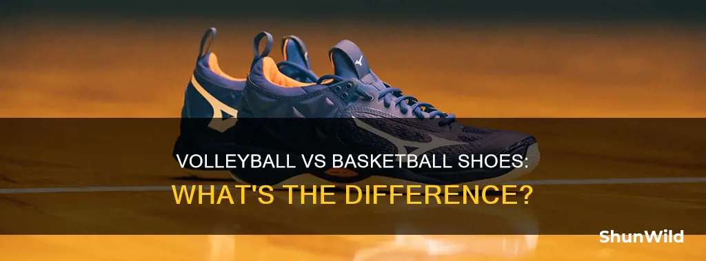 are volleyball shoes and basketball shoes the same