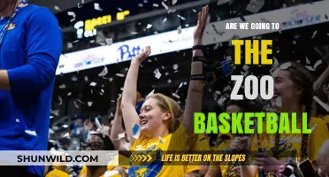 The Zoo Basketball Experience: A Wild Adventure