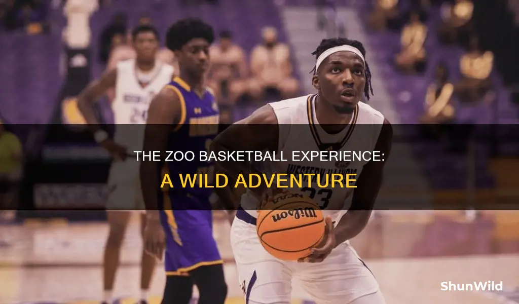 are we going to the zoo basketball