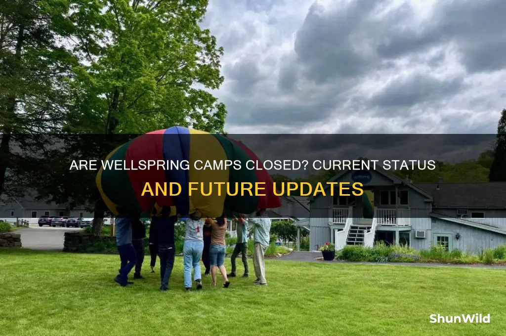 are wellspring camps closed