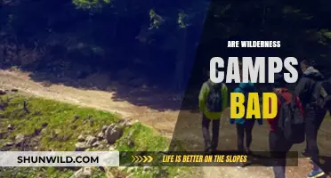 Are Wilderness Camps Harmful or Helpful for Troubled Teens?