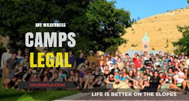 Are Wilderness Camps Legal? Exploring the Legalities of Outdoor Programs