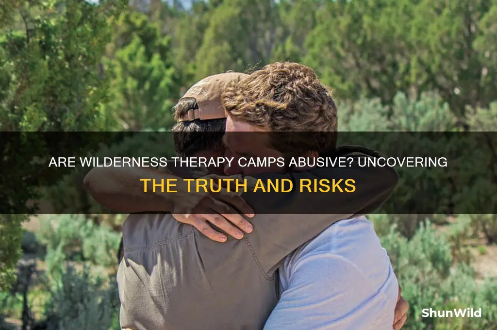 are wilderness therapy camps abusive