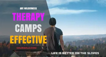 Exploring the Effectiveness of Wilderness Therapy Camps for Youth