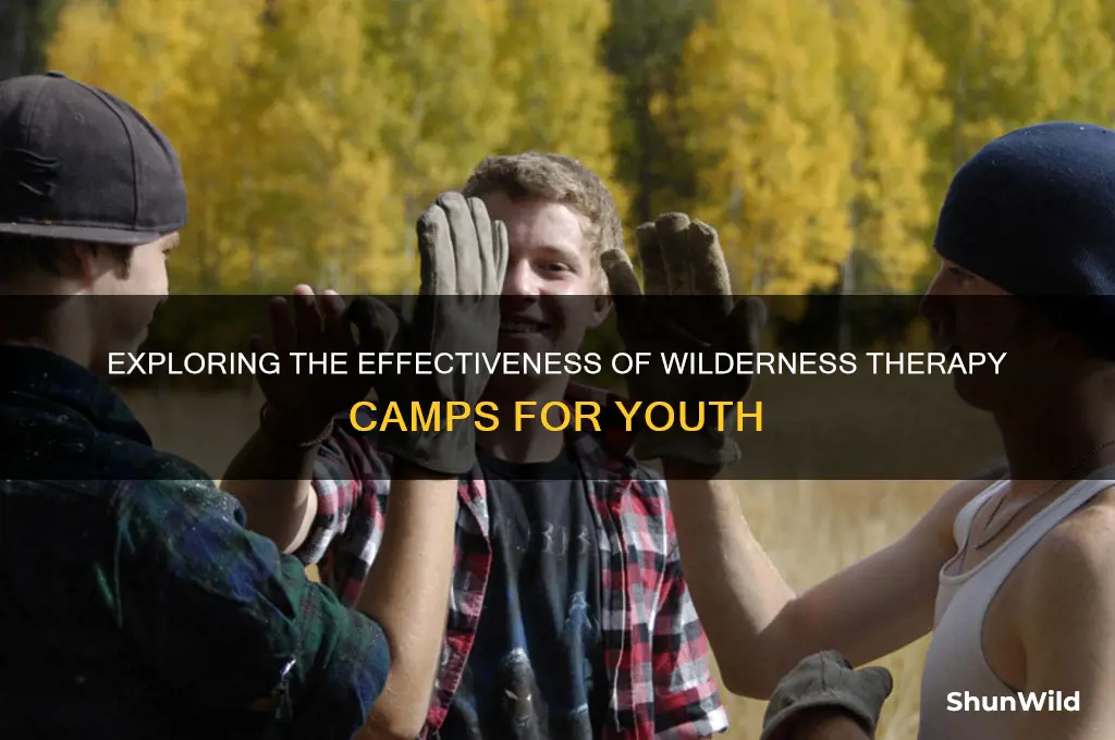 are wilderness therapy camps effective