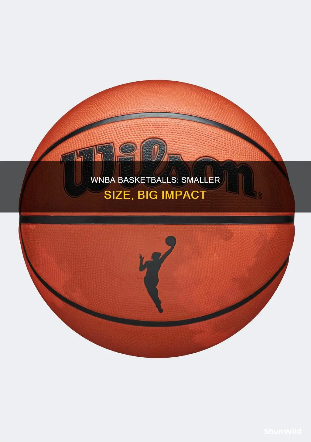 are wnba basketballs smaller