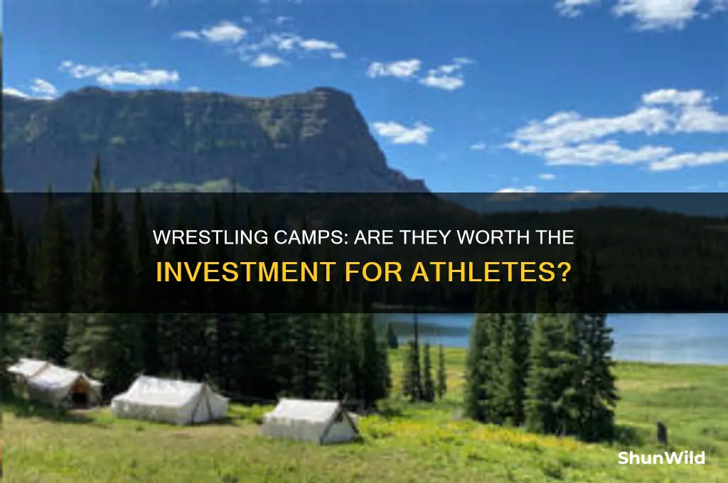 are wrestling camps worth it