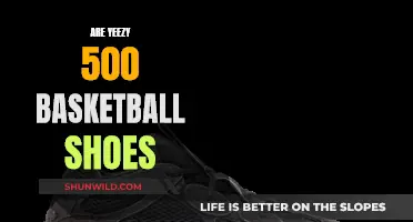 Yeezy 500: Basketball Shoes or Fashion Statement?