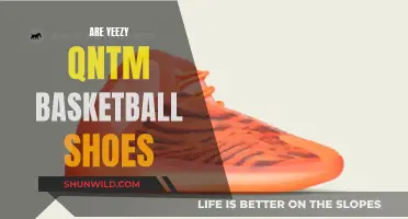 Yeezy Qntm: Basketball Shoe Revolution?