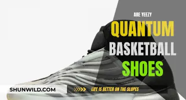 Yeezy Quantum Basketball Shoes: Are They Worth the Hype?