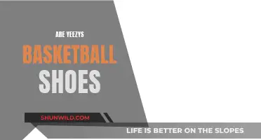 Yeezys: Basketball Shoes or Fashion Statement?