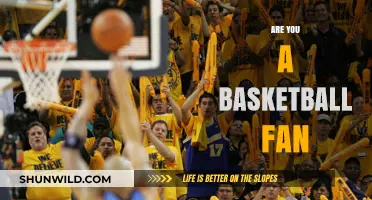 The Ultimate Basketball Fan: Are You One?