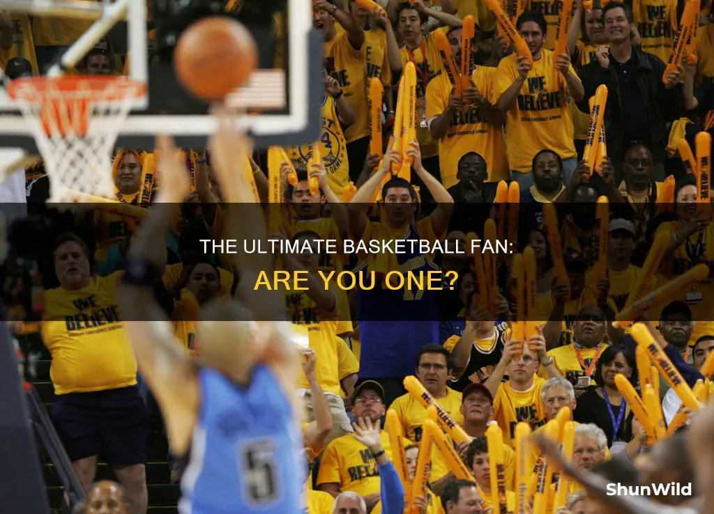 are you a basketball fan