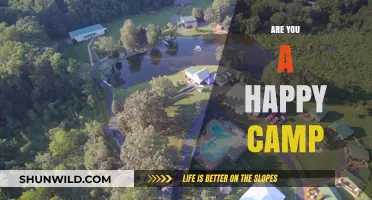 Are You a Happy Camper? Discover Joy in Outdoor Adventures