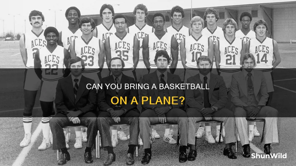 are you allowed to bring a basketball on a plane