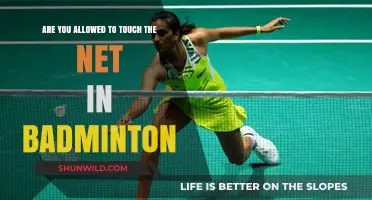 Net Touch in Badminton: What's Allowed?