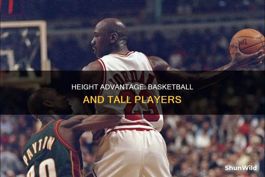 are you better to be taller in basketball