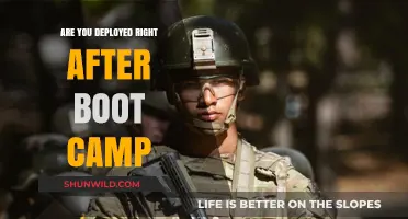 From Boot Camp to Deployment: What New Recruits Need to Know
