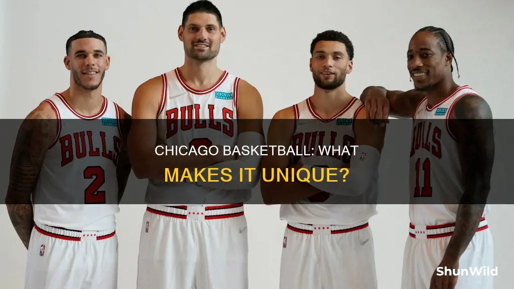 are you from chicago in basketball