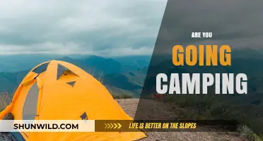 Are You Going Camping? Essential Tips for a Perfect Outdoor Adventure
