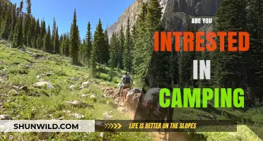 Discover the Joys of Camping: Are You Ready for Adventure?
