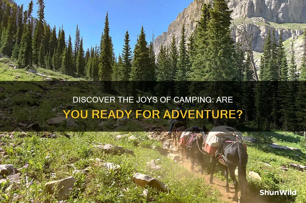 are you intrested in camping