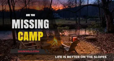 Longing for Campfires and Cabin Nights: Are You Missing Camp?