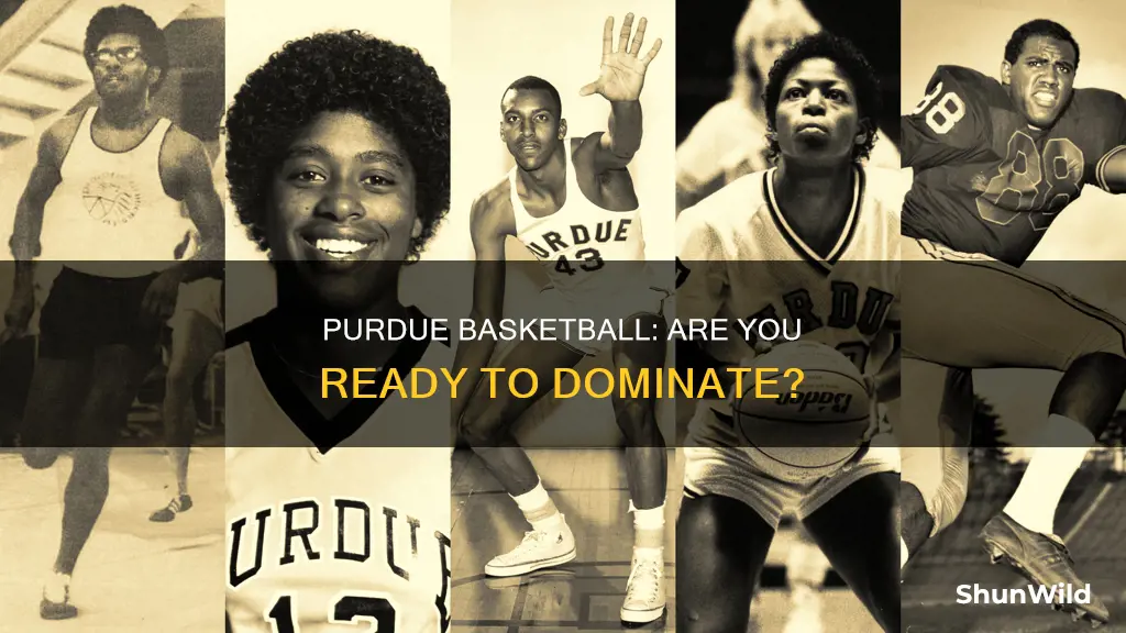 are you purdue basketball
