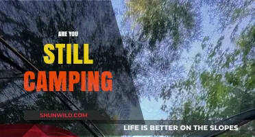 Are You Still Camping? Reviving the Joy of Outdoor Adventures
