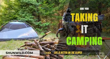 Are You Taking It Camping? Essential Gear Tips for Outdoor Adventures