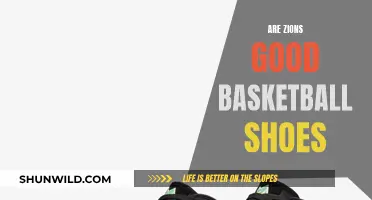 Zion Basketball Shoes: Are They Worth the Hype?