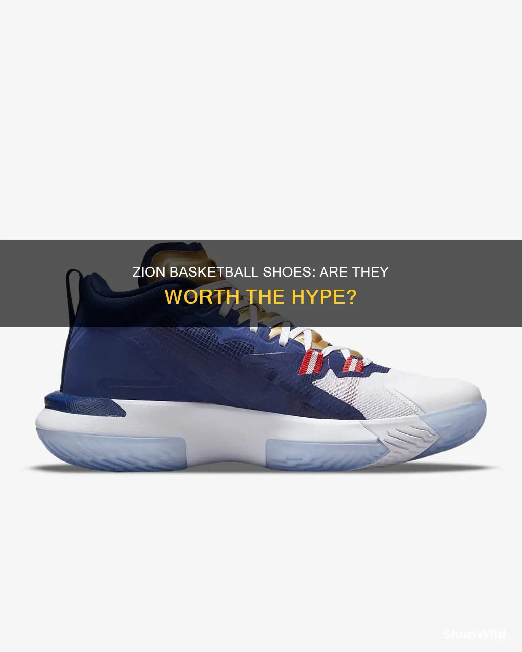 are zions good basketball shoes