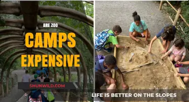 Are Zoo Camps Worth the Cost? Exploring Expenses and Benefits