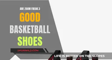 The Zoom Freak 3: A Basketball Shoe Worthy of the Hype?