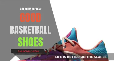 Freak 4 Zoom: A Basketball Shoe Revolution?