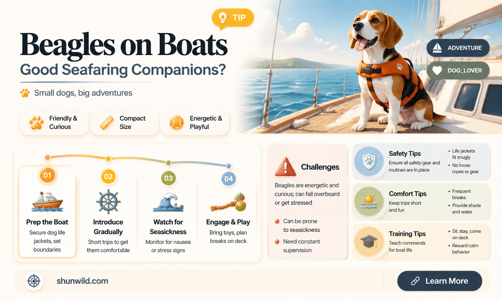 are beagles good boat dogs