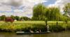 boating pedalos and punts