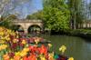 boating pedalos and punts