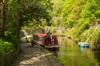boating pedalos and punts