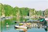 boating pedalos and punts