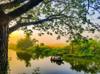 boating pedalos and punts