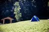 camping
