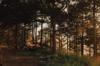 camping