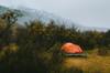 camping